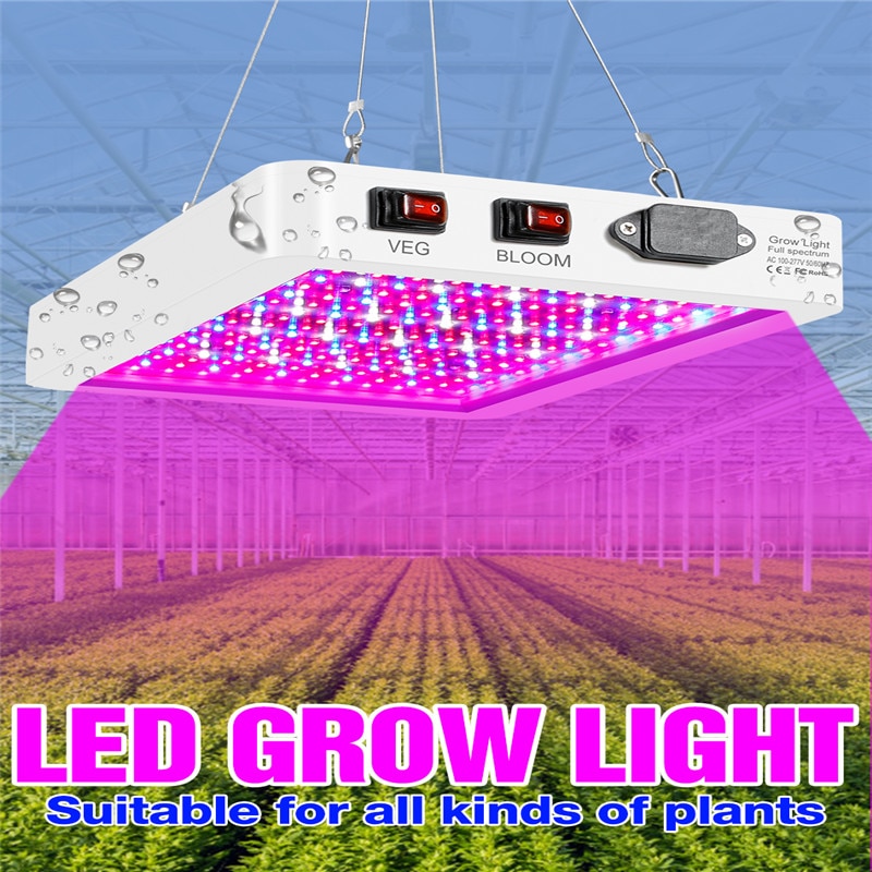 LED   2000W  ䷥ 2835 LED Ĩ, 伺..